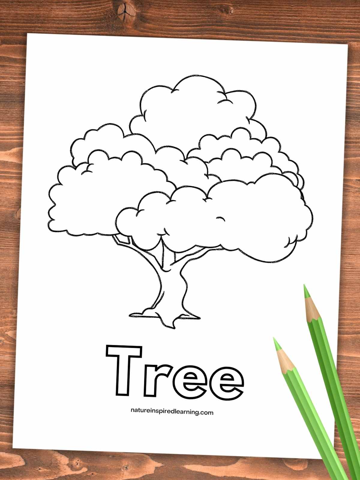 one large tree with the word Tree in bubble letters below on a wooden background with two green colored pencils bottom right