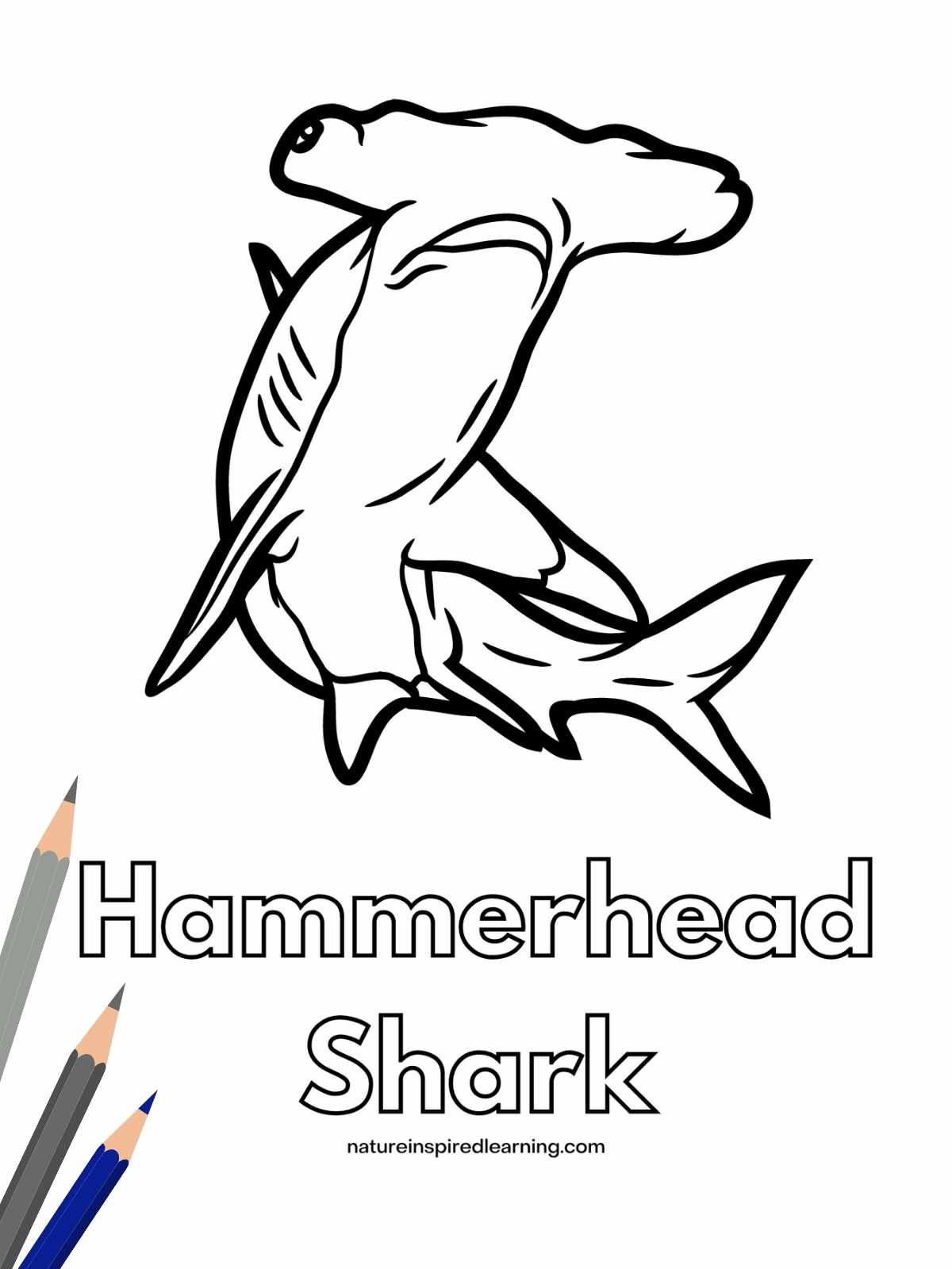 large hammerhead shark swimming up with Hammerhead Shark written below in bubble letters. Three colored pencils on top of printable bottom left