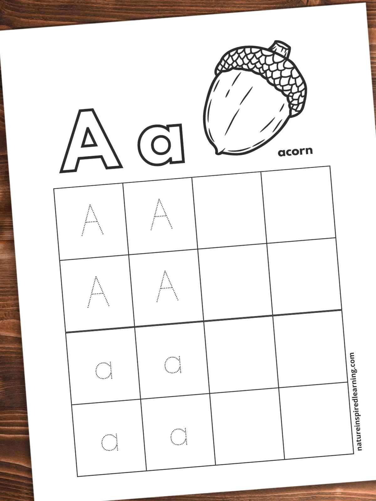 Outlined A and a next to a large black and white image of an acorn with small text next to the image. Four rows and columns of boxes, four with capital letter A written in dots next to four empty boxes. Lowercase letter a in bottom four boxes written in dots to the left of four empty boxes. Worksheet slanted on a wooden background