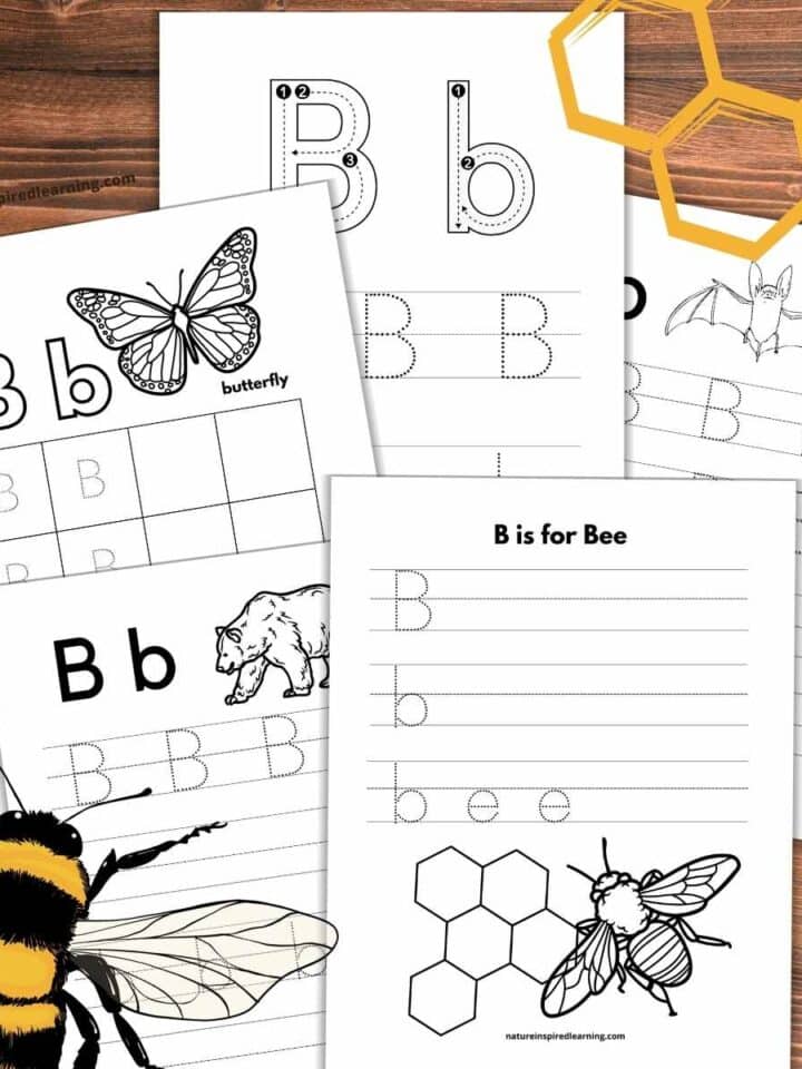 Collection of five unique letter B tracing worksheets overlapping each other on a wooden background. Large colorful bee bottom left and yellow honeycomb upper right corner