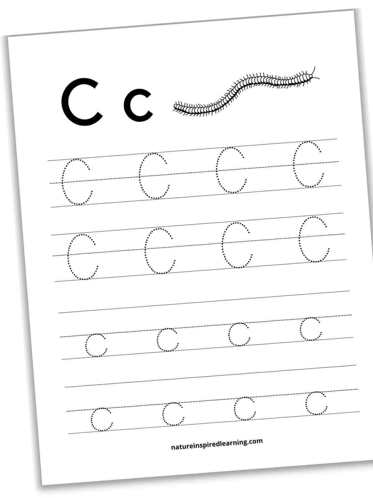 capital and lowercase letter C tracing worksheet with bold letters across the top with a black and white image of a centipede. Two sets of lines with traceable uppercase letter C's with two sets of lines with traceable lowercase letter c's. Printable with a drop shadow slanted.