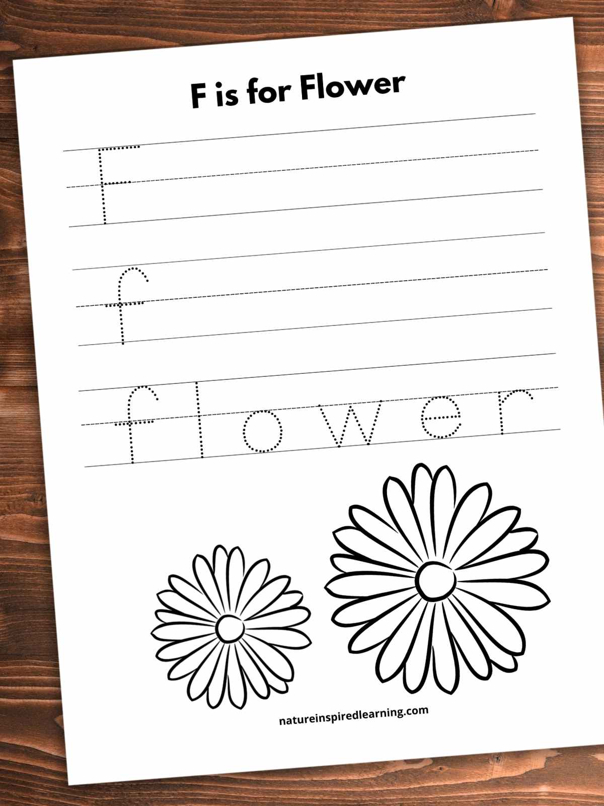Worksheet on a wooden background. F is for Flower written across top with dashed F on a set of lines above dashed f on a set of lines. flower written in traceable font on a set of lines and two black and white flowers on the bottom half of the printable.