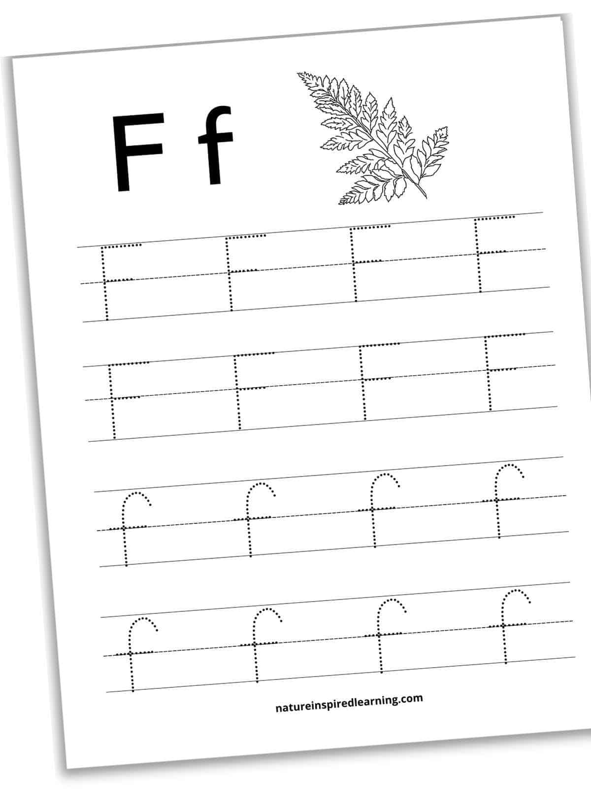 bold F f with a black and white image of a fern on the top of a worksheet with lines for tracing capital and lowercase letter f. Two sets of lines for F and two sets of lines for f. Printable slanted with a drop shadow.