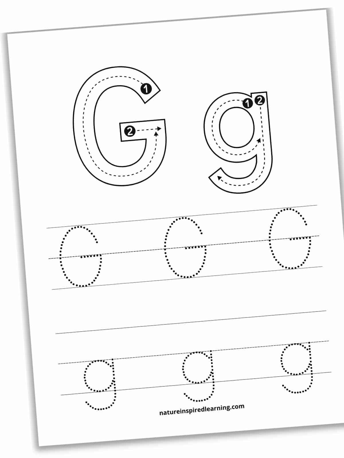 Worksheet with large outlines of G and g with guidelines, arrows, and numbers on the top half with a set of lines with dotted G's and a second set of lines with dotted g's across the bottom. Printable slanted with a drop shadow.