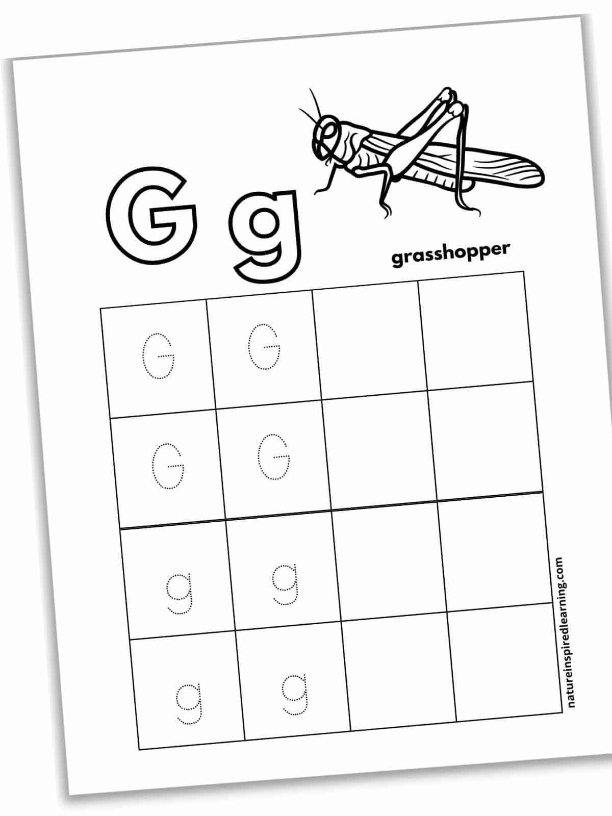 Worksheet with outlined G and g with a black and white image of a grasshopper with text across the top with a set of sixteen boxes below. Four boxes with dotted G's, four boxes with dotted g's, and eight empty boxes to the right. Printable slanted with a shadow.