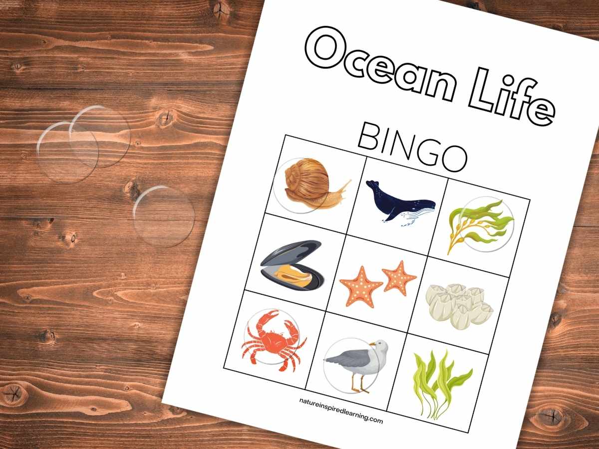 printable bingo card with colorful images of a snail, whale, seaweed, mussel, starfish, barnicles, crab, seagull, and kelp. On a wooden background with clear plastic bingo chips.