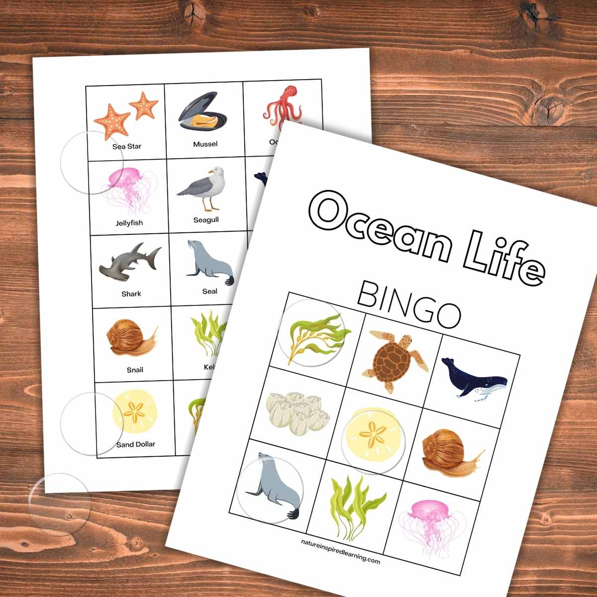 set of calling cards under a bingo card with images of ocean animals and plants. Printables on a wooden background with clear circle bingo chips