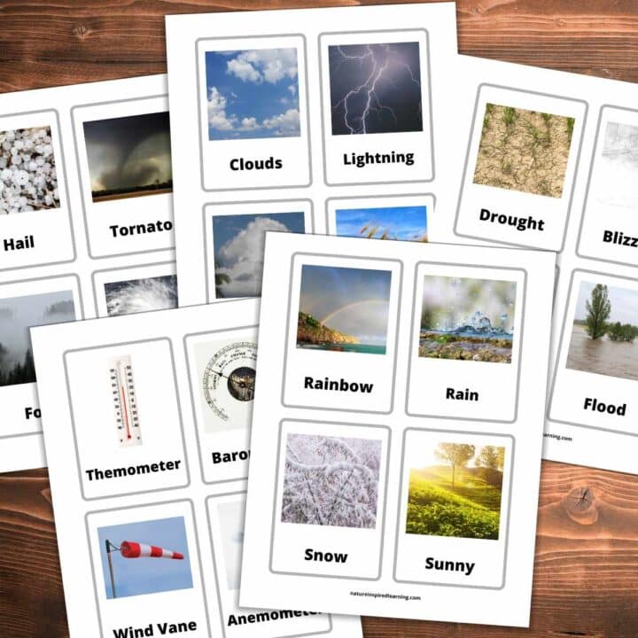 printable flashcards with real life images of weather events and tools overlapping each other on a wooden background. One card for hail, tornado, fog, hurricane, clouds, lightning, storm clouds, wind, drought, blizzard, flood, rainbow, rain, snow, sunny, thermometer, barometer, wind vane, and anemometer.