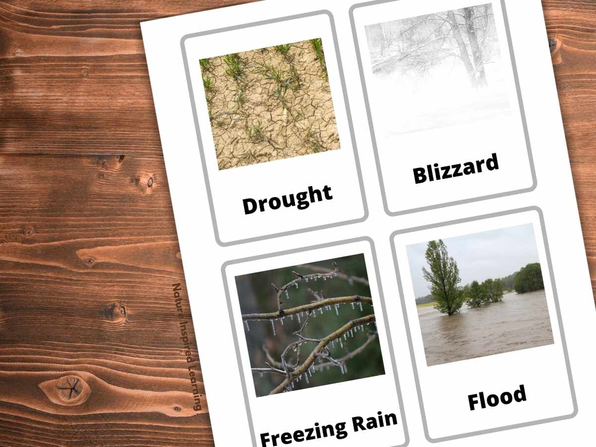 four printed out weather flashcards on a piece of paper with images for drought, blizzard, freezing rain, and flood. Each card is outlined in gray and has an photograph and vocab word written in bold. Printable on a wooden background