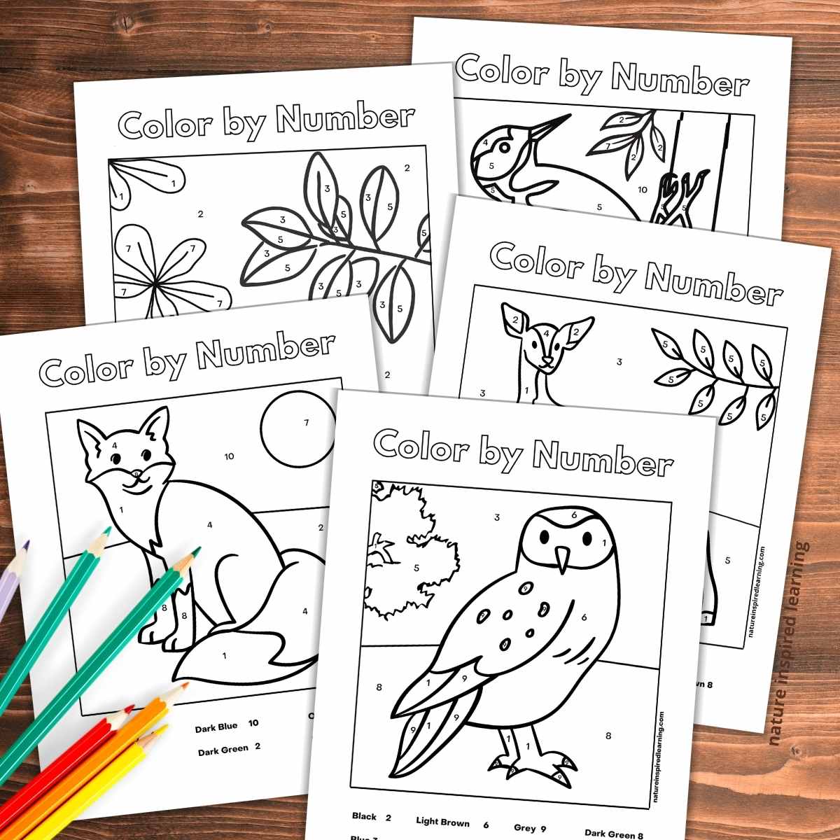Animal Color By Number Worksheets - Nature Inspired Learning