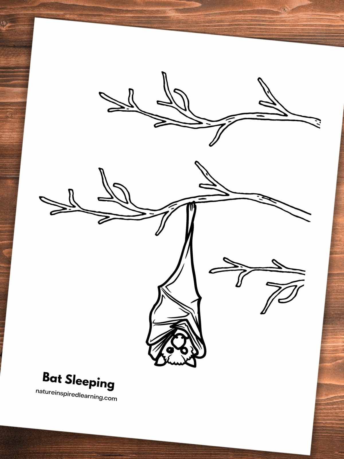 black and white printable with bare tree branches with one bat hanging upside down from a branch. Coloring sheet slanted on a wooden background