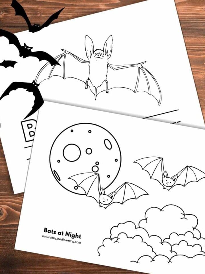 two bat coloring sheets overlapping each other on a wooden background with black bats flying upper left corner
