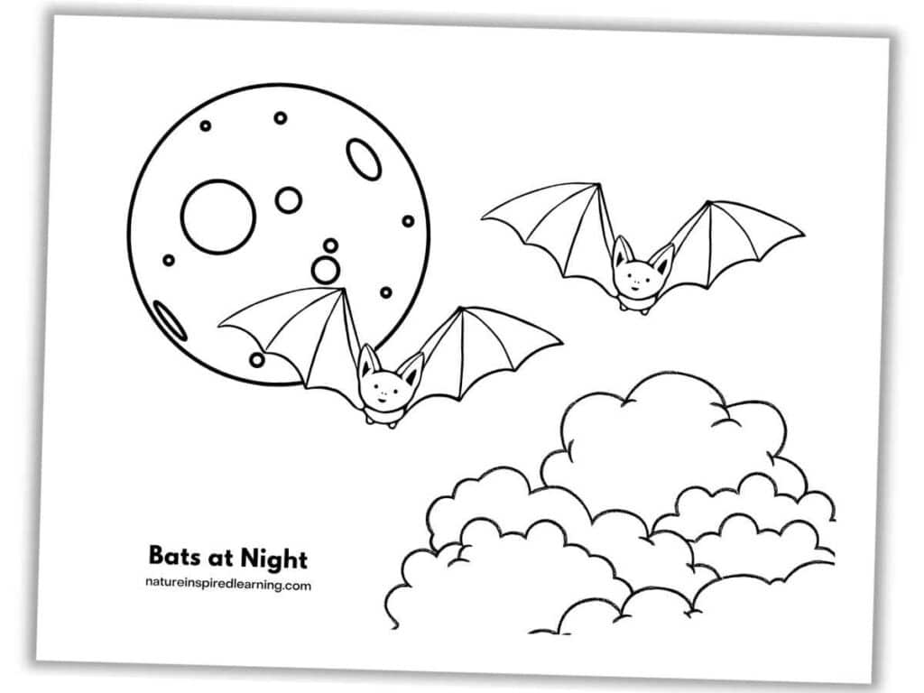 Best Bat Coloring Pages - Nature Inspired Learning