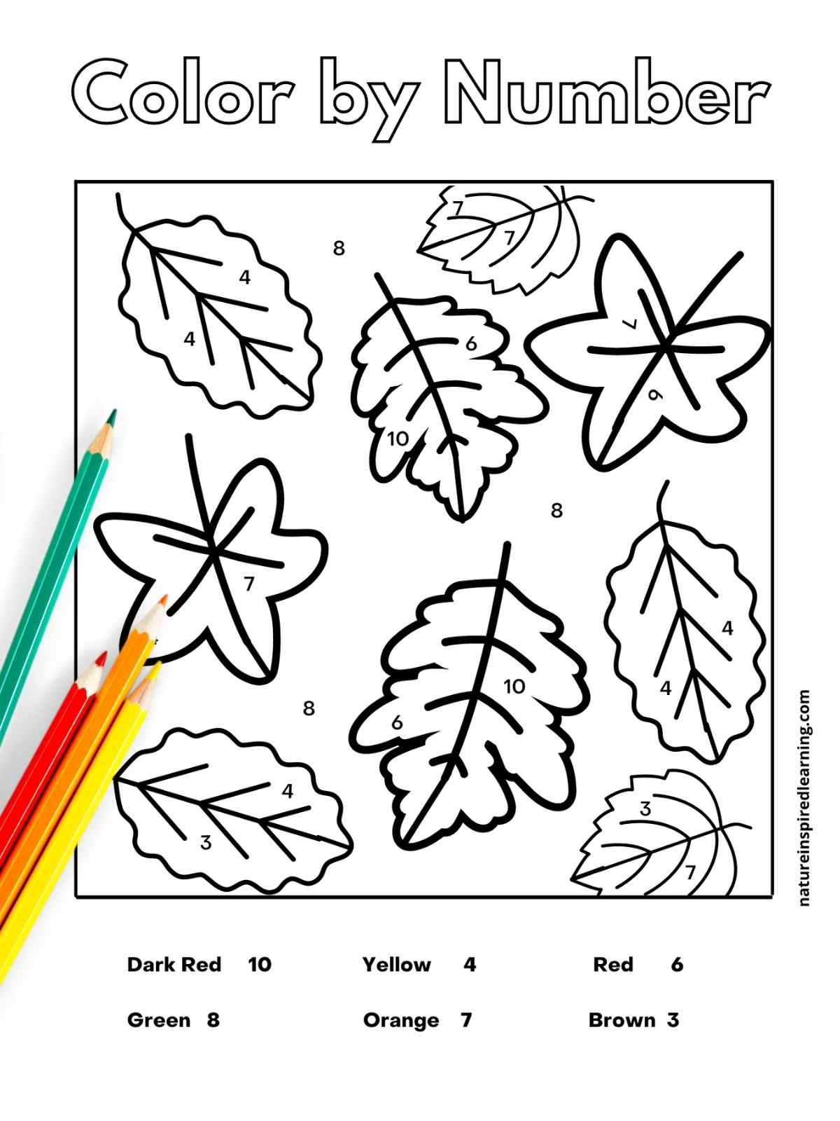 Black and white worksheet with color by number across the top in outline form with different types of leaves with numbers on them with a color key at bottom. Green, red, orange, and yellow colored pencils on top of printable left side.