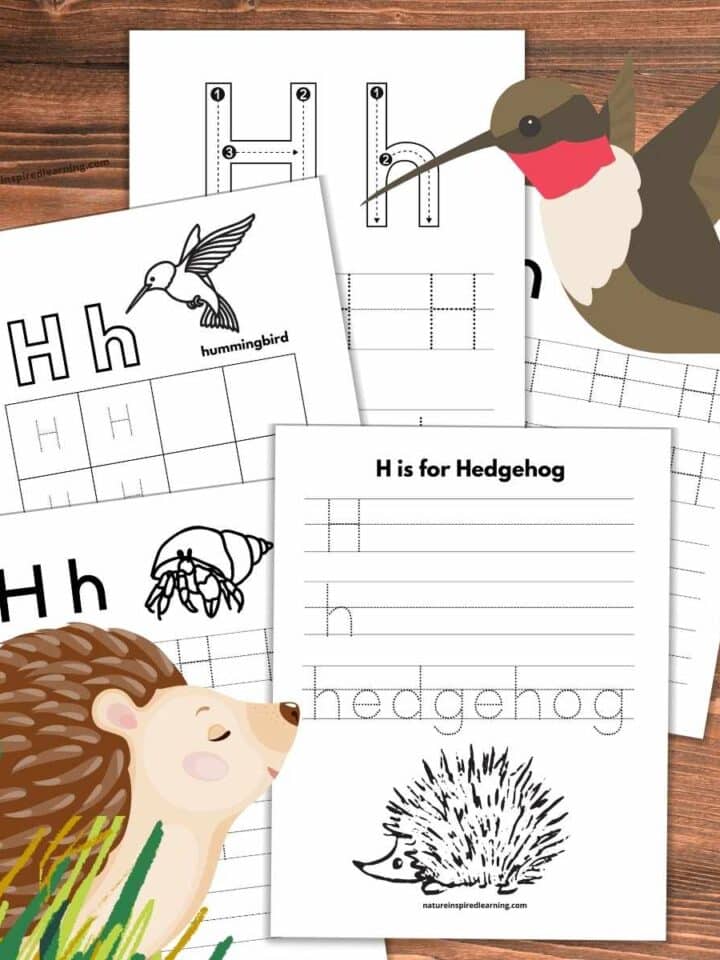 collection of letter H tracing worksheets overlapping on a wooden background with a hedgehog in the grass bottom left and hummingbird upper right.