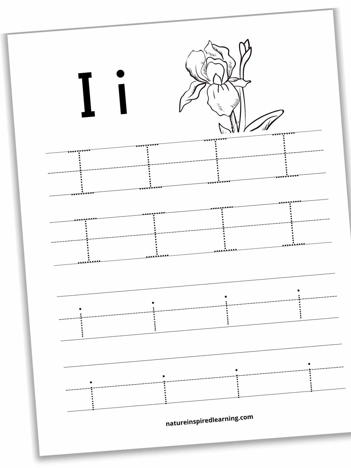 worksheet with I and i in bold at the top with a black and white iris. Four set of lines, two sets with four dotted I's on each and two sets with four dotted i's on each.