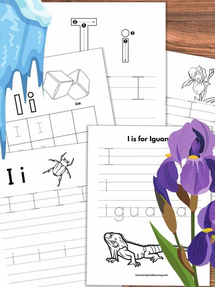collection of five tracing worksheets with letter i overlapping each other on a wooden background. Purple irises bottom right with icicles upper left