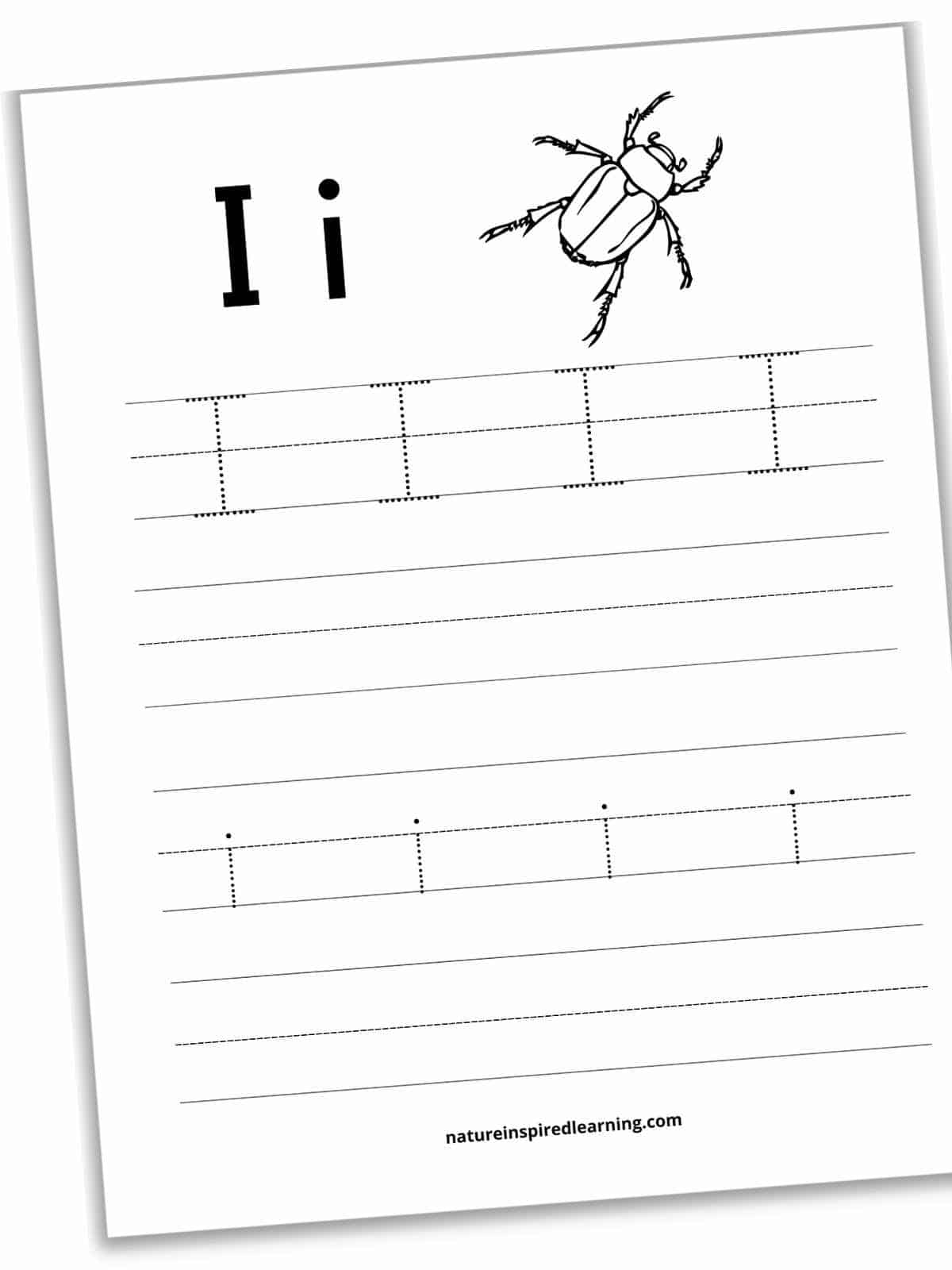 Worksheet with I and i in bold with a black and white insect across the top and a set of four lines below. Four dotted I's on the first set of lines and a blank set of lines below. Four lowercase i's on the third set of lines with a blank set below.