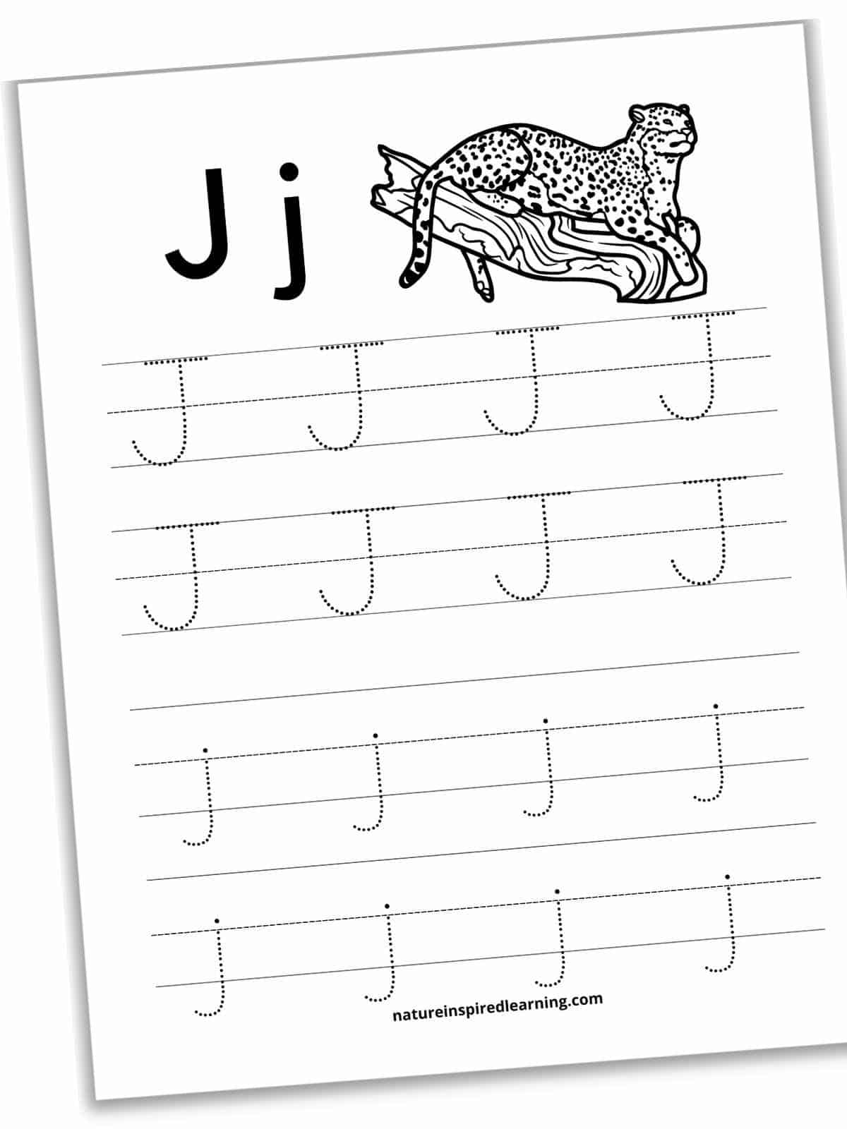 Worksheet with J and j in bold next to a black and white jaguar animal with lines with traceable J's and j's below.