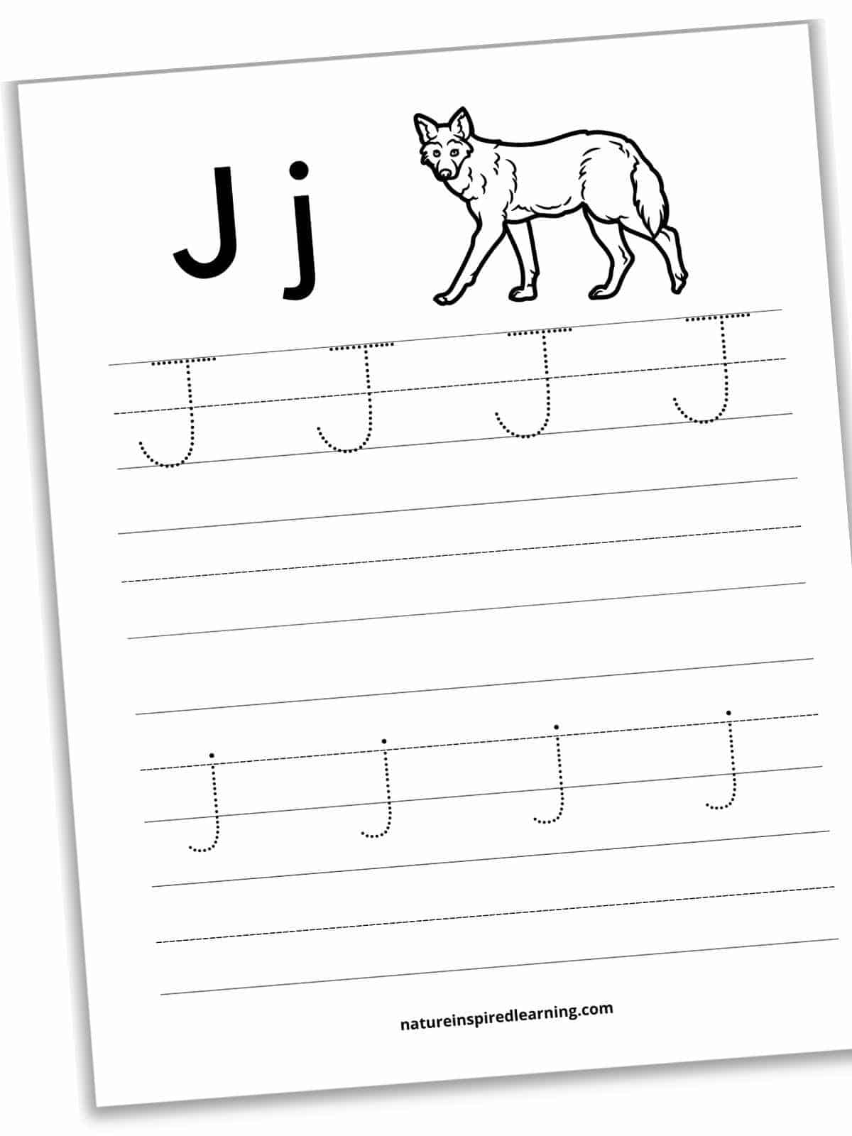 Worksheet with bold J and j next to a black and white jackal with four sets of lines below. J's in dotted font on the first set of lines with a blank set below. j's on the third set of lines with another blank set below.