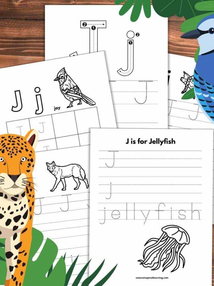 Five different letter j tracing worksheets overlapping on a wooden background with a blue jay upper right with green leaves and jaguar lower left with leaves.