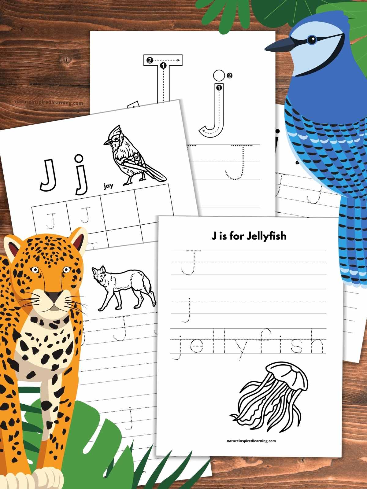 Five different letter j tracing worksheets overlapping on a wooden background with a blue jay upper right with green leaves and jaguar lower left with leaves.