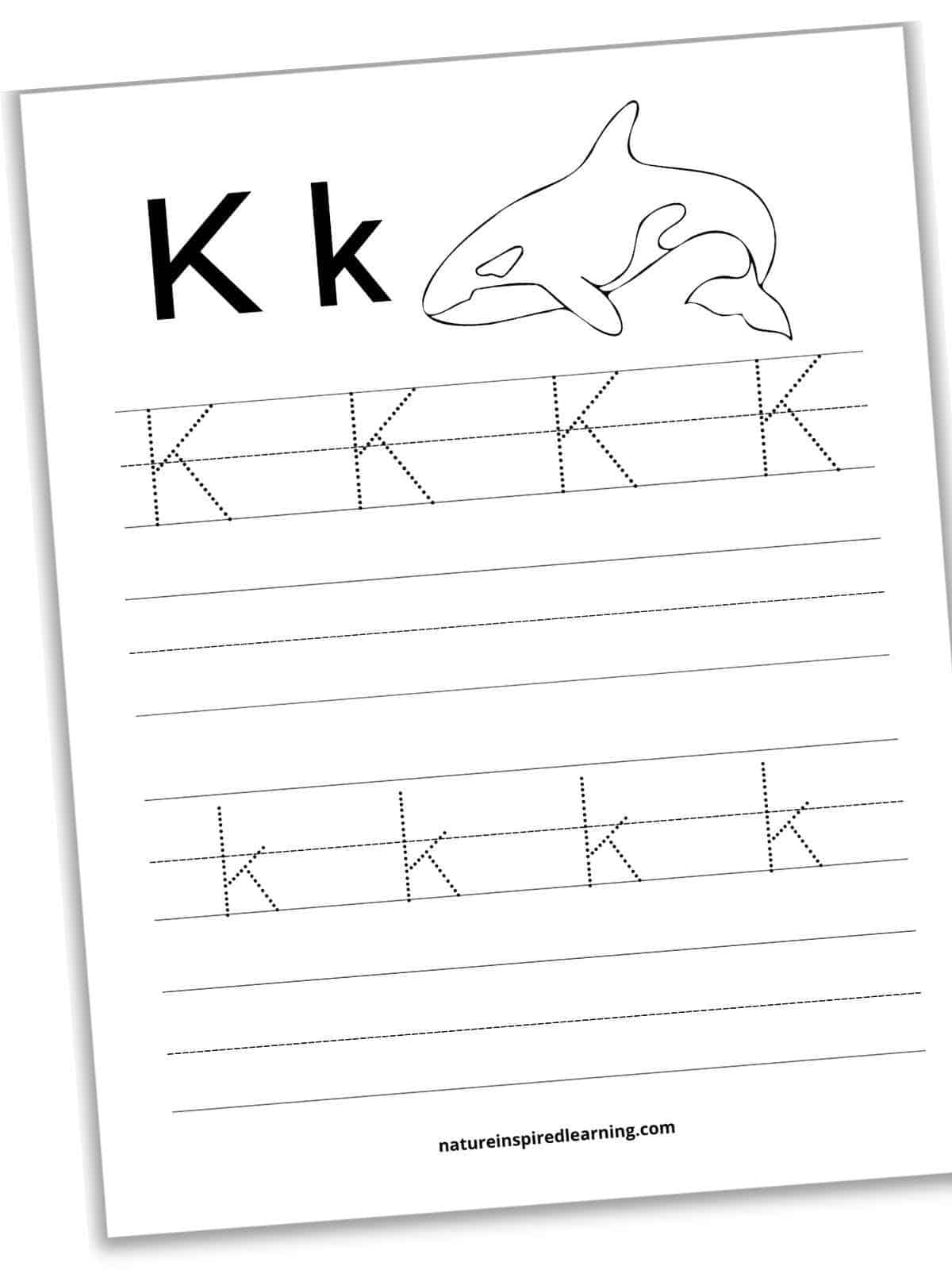 Worksheet with bold K k next to a black and white killer whale with four sets of lines. Dotted K's on the first set then a blank set of lines. Dotted k's on the third set of lines with a black set below.