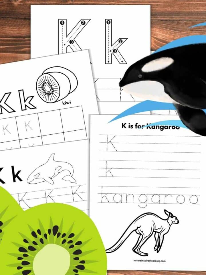 Five letter L tracing worksheets overlapping on a wooden background. Two green kiwi's bottom left and a large killer whale with blue waves upper right over the worksheets.