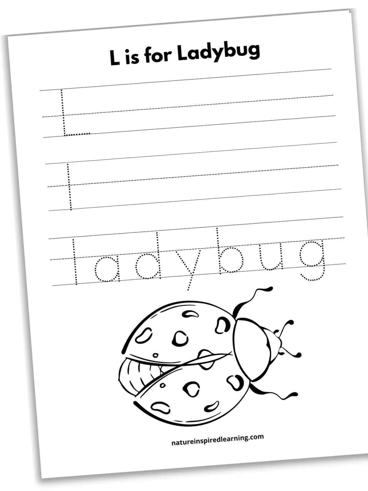 L is for Ladybug worksheet with traceable L on a set of lines above l on the second set and then dotted word ladybug on the third set of lines. Large black and white ladybug on bottom half of printable.