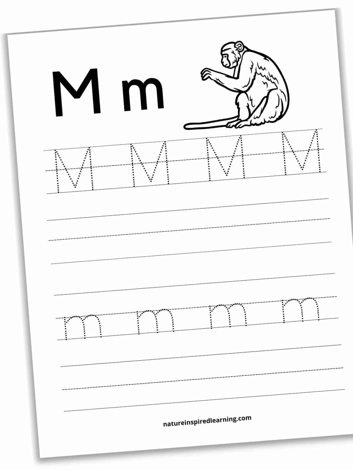 Black and white worksheet with M and m in bold next to a sitting monkey. Four sets of lines, four traceable M's on the first set and four dotted m's on the third set. Second and fourth sets of lines are blank.