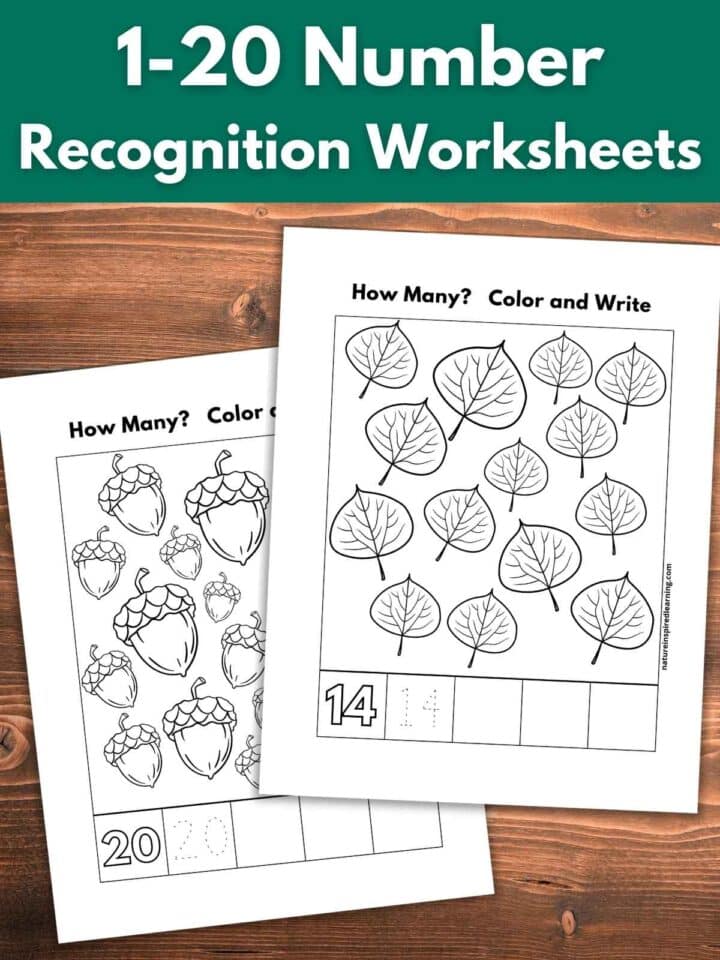 20 Number Recognition Worksheets - Nature Inspired Learning