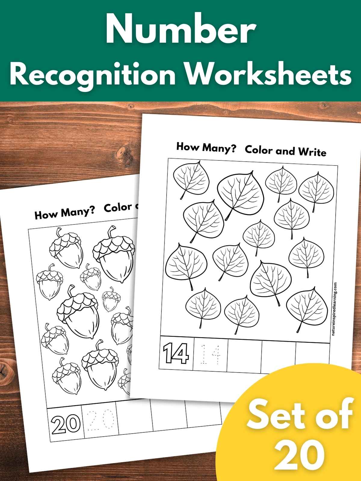 two count, color, and write number worksheets overlapping on a wooden background. One sheet has 14 black and white leaves with boxes below and the other has twenty black and white acorns with boxes below. Text overlay in white on a green background across the top and a bright yellow circle bottom right with white text overlay.