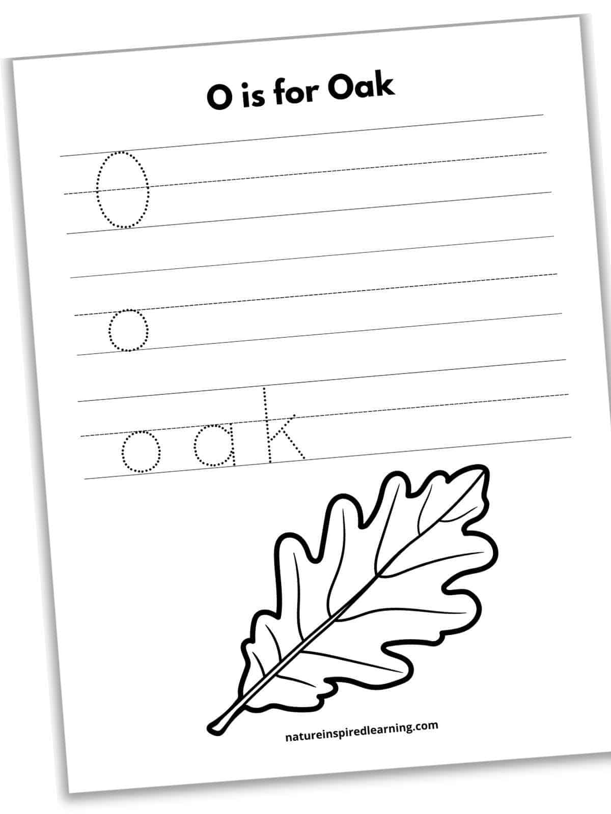 Worksheet with O is for Oak across the top with a dotted O and o to trace along with the word oak. Large black and white oak leaf on the bottom half of worksheet.