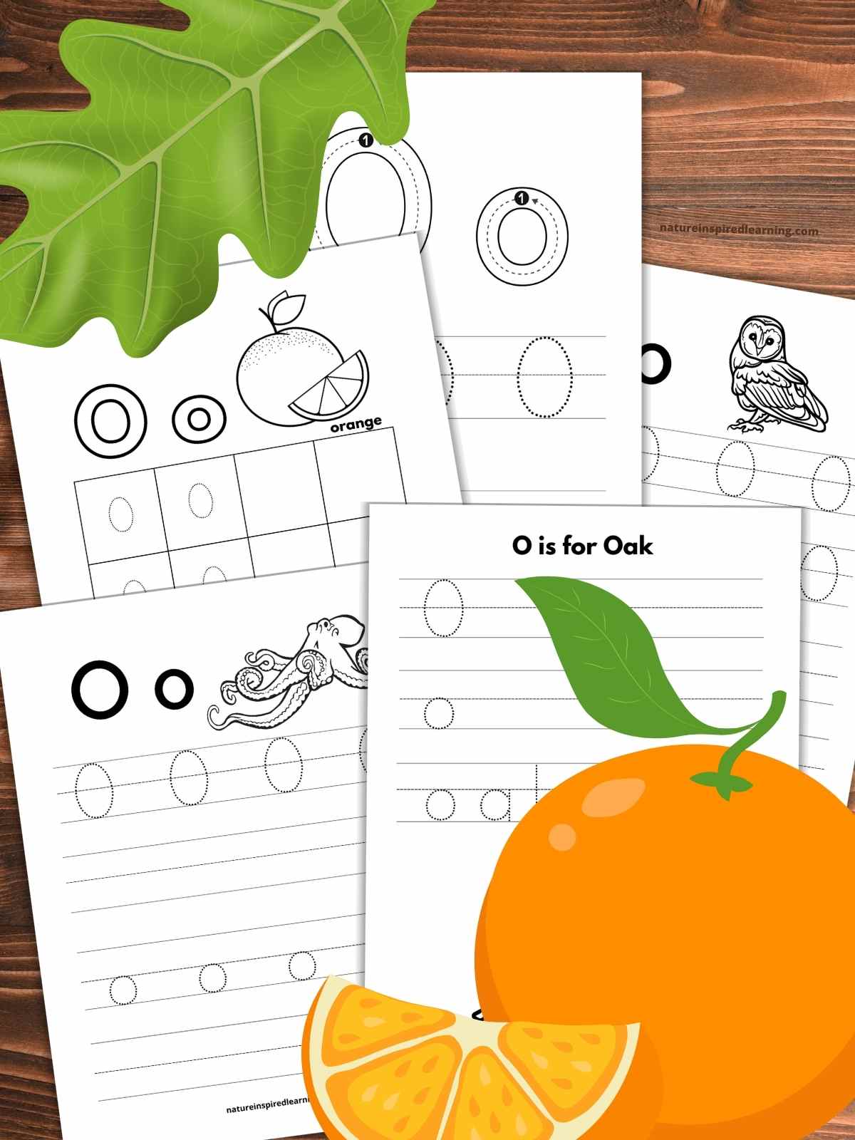 five letter o tracing worksheets overlapping on a wooden background with a green oak leaf upper left and whole orange with slice bottom right