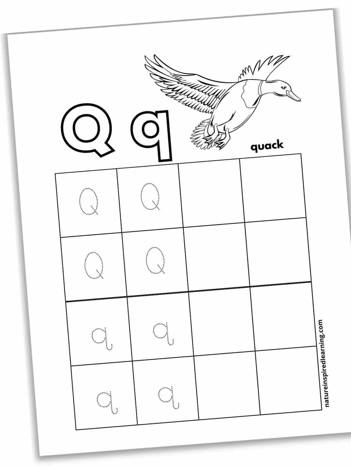 Worksheet with a large grid with traceble letter Q's and a duck at the top