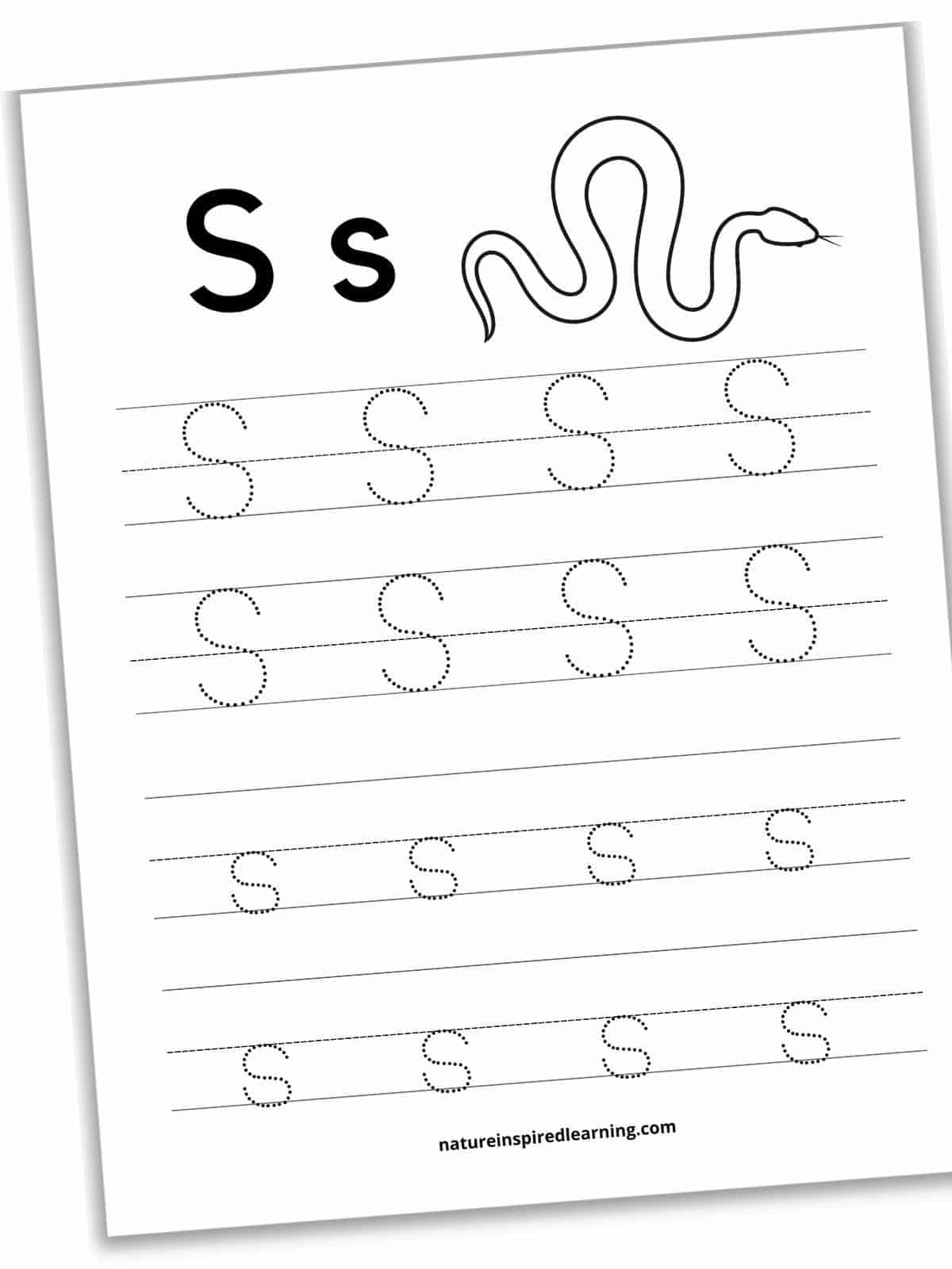 Worksheet with four set of lines with dotted S and s's with an outline of a snake at top.