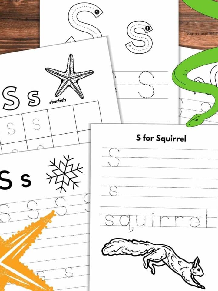five letter tracing worksheets overlapping on a wooden background with yellow starfish bottom left green snake upper right