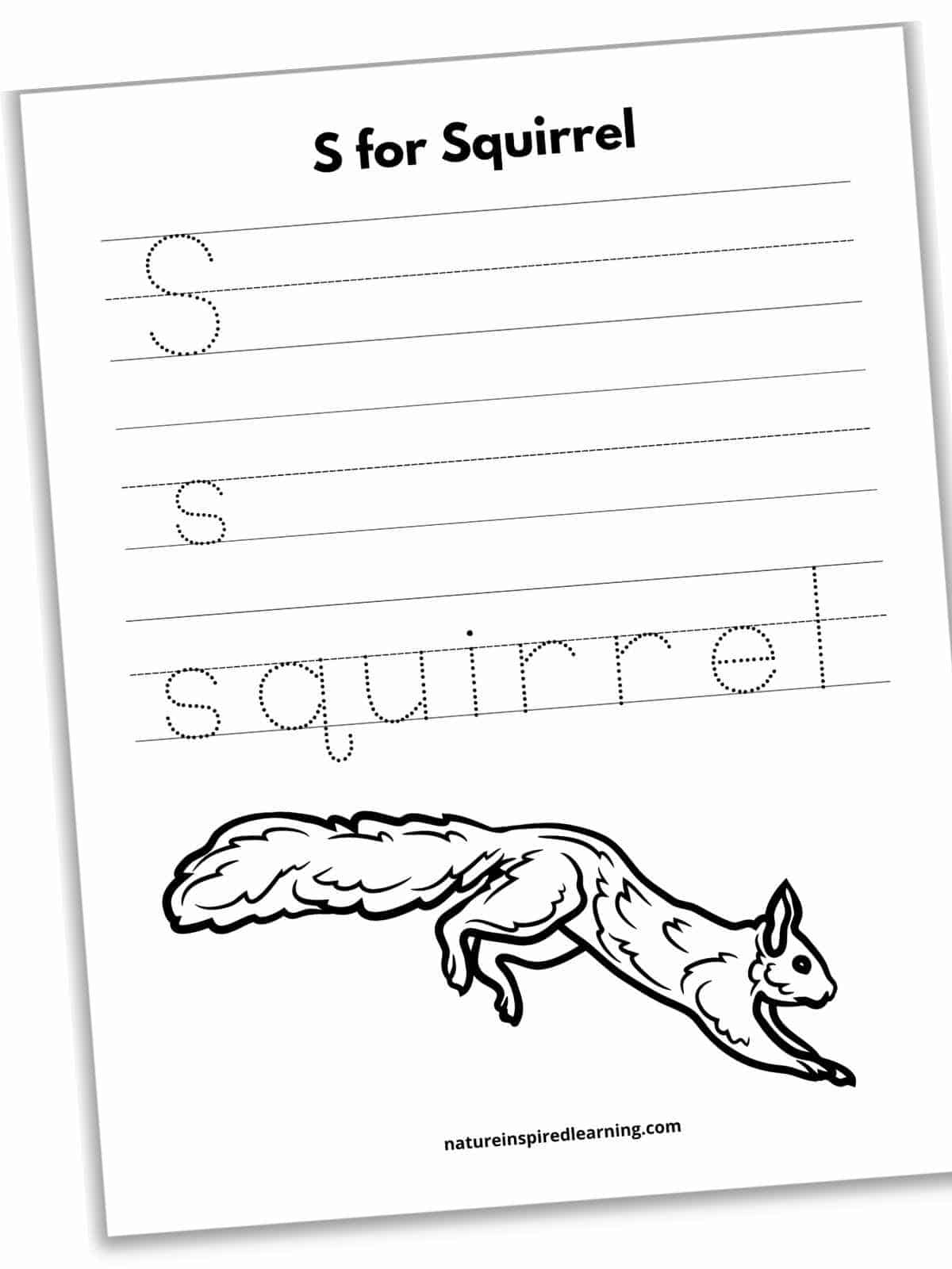 Worksheet with a large black and white squirrel at bottom with three sets of lines at top with dotted letters.
