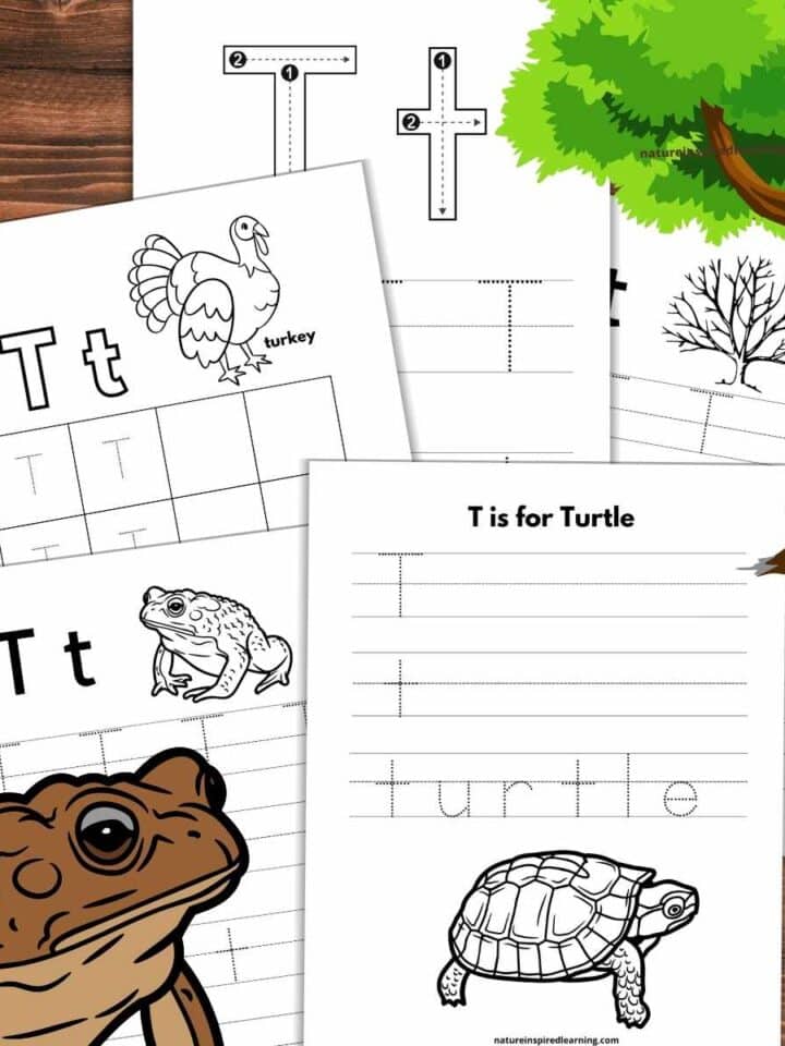 five letter t tracing sheets overlapping on a wooden background with toad bottom left green tree upper right