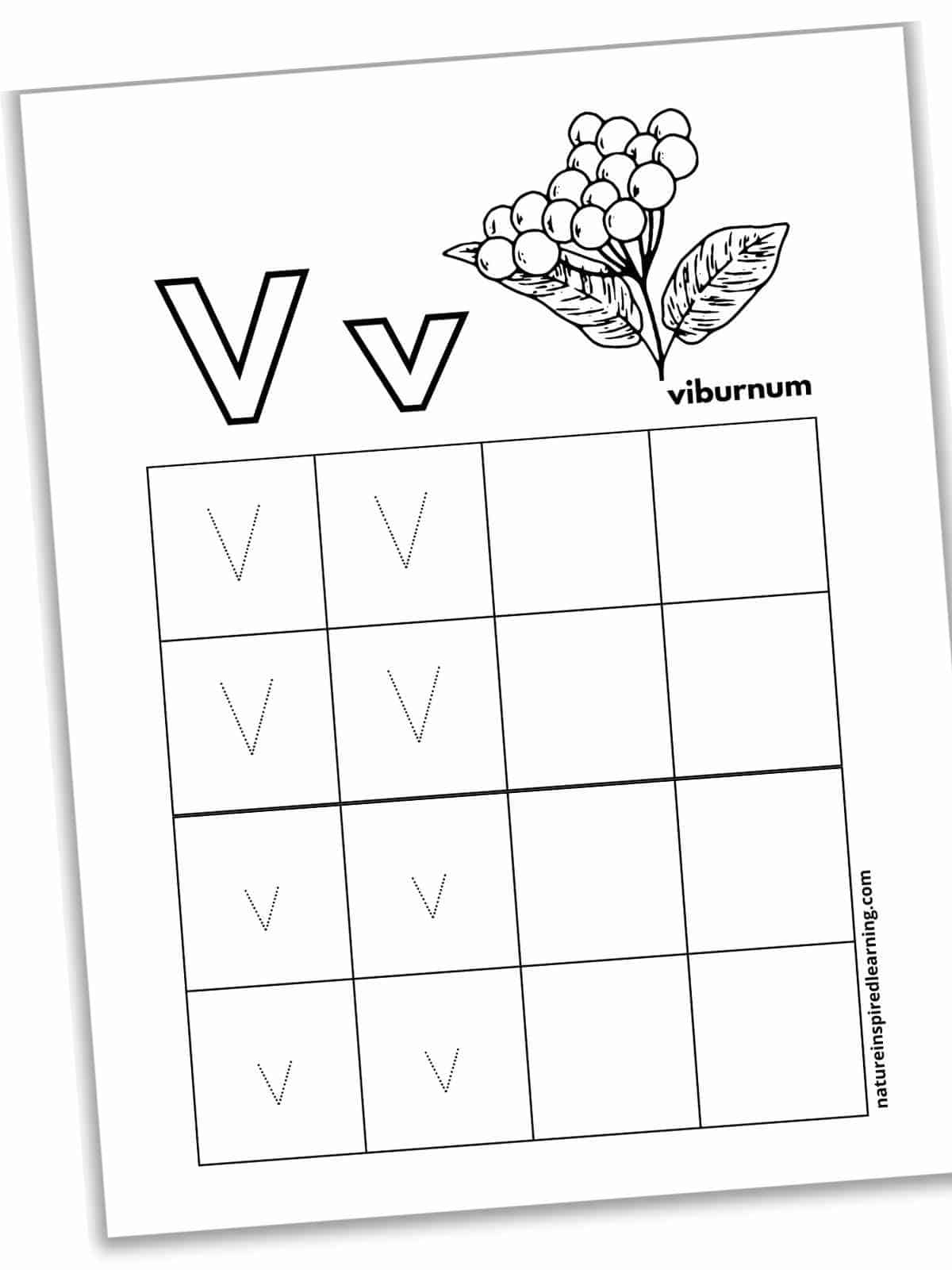 Worksheet with black and white viburnum berries and leaves next to outline form of V and v with a large grid below with dotted letter v's and blank boxes