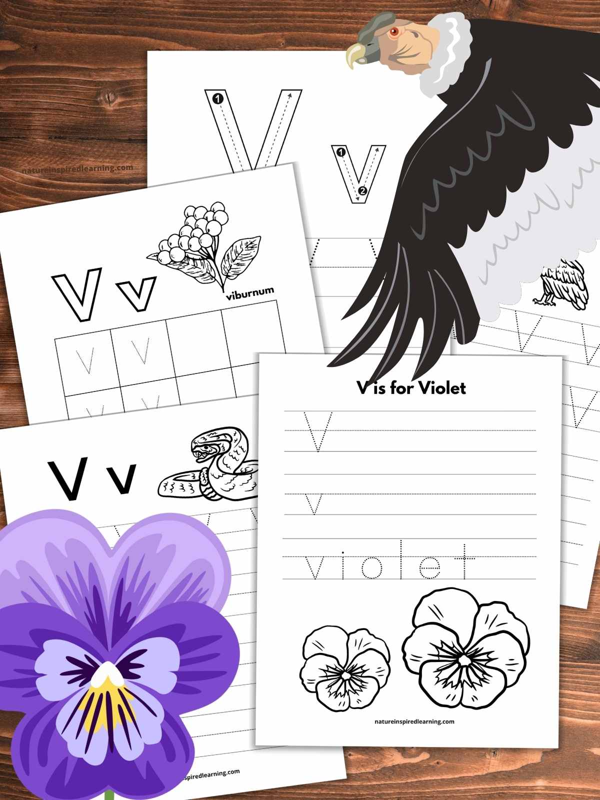 five worksheets with letter v tracing and images overlapping on a wooden background with a vulture upper right and purple violet bottom left