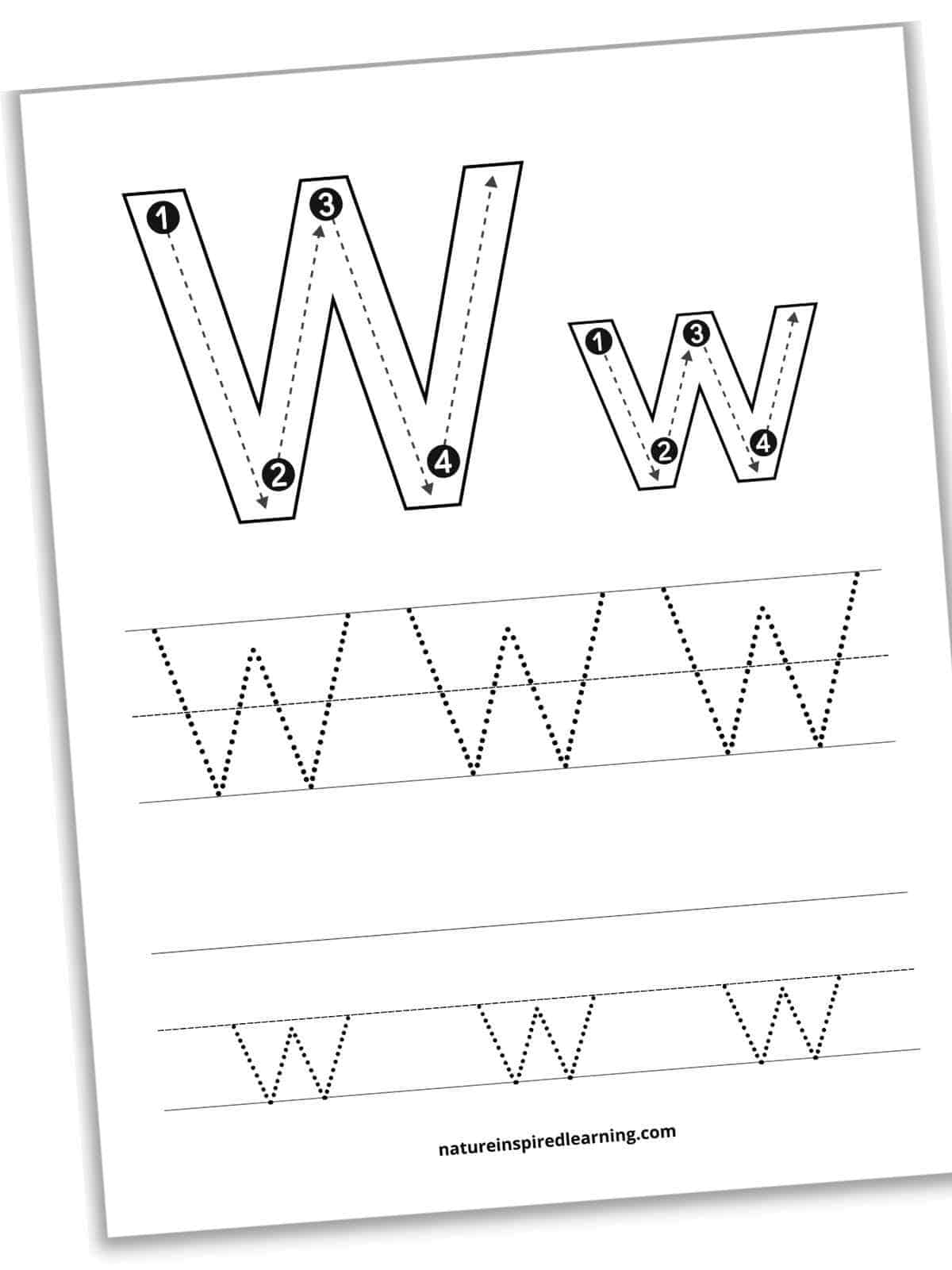 worksheet with large W w outlines with numbers, arrows, and dashed within each letter above two sets of lines with dotted letter W and w's