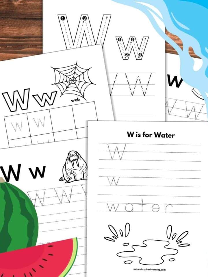 letter w tracing worksheets overlapping on a wooden background with a watermelon with slice bottom left with water upper right