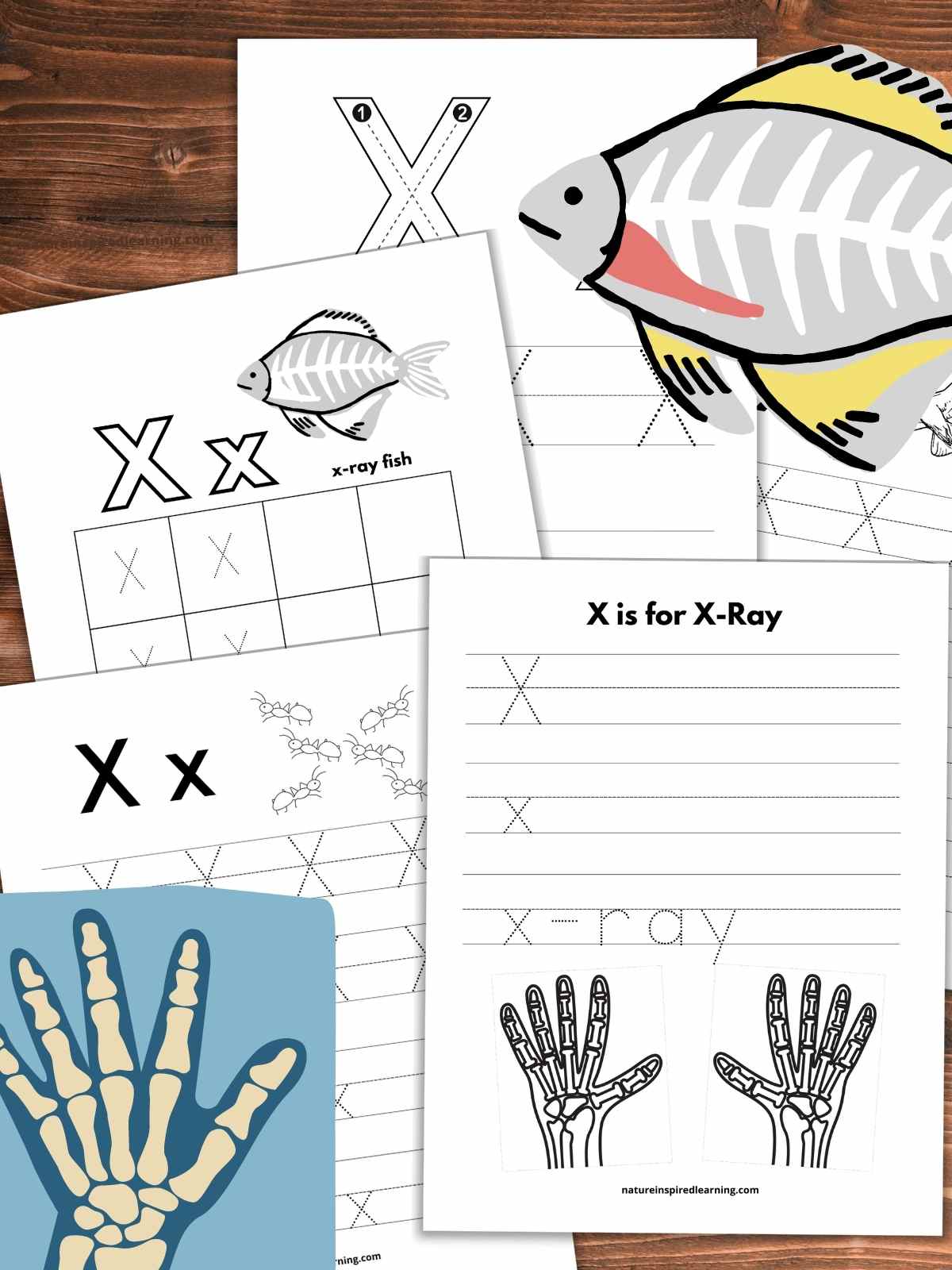 five letter tracing worksheets overlapping on a wooden background with an x-ray fish upper right and x-ray of a hand lower left