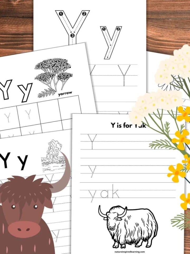 five letter tracing worksheets overlapping on a wooden background with a yak bottom left and white yarrow with yellow flowers right