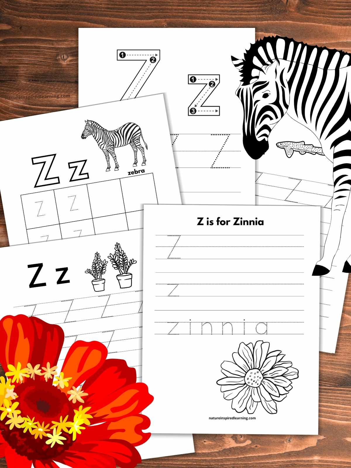 five letter tracing worksheets overlapping on a wooden background with red zinnia bottom left zebra upper right