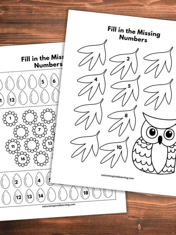 two black and white number worksheets overlapping on a wooden background. An owl with leaves on the worksheet and seeds with flowers.
