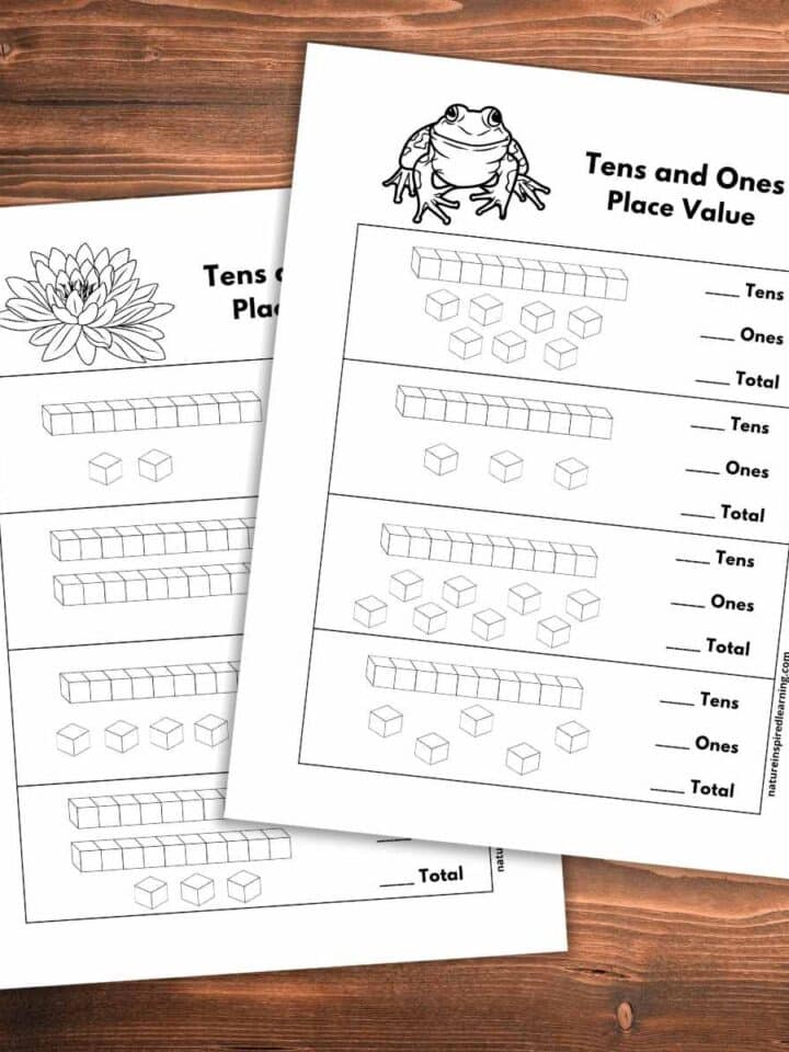 two math worksheets with black and white base ten block designs overlapping on a wooden background