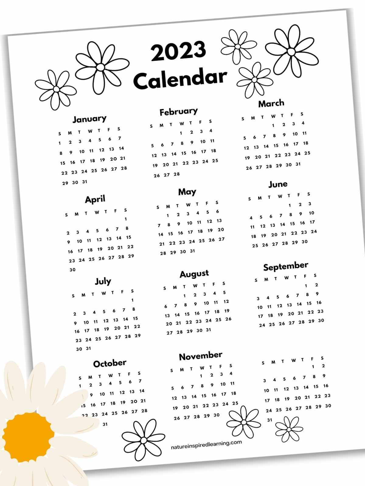 flower themed black and white printable yearly calendar for 2023 with each month on one page with a daisy bottom left on top of printable
