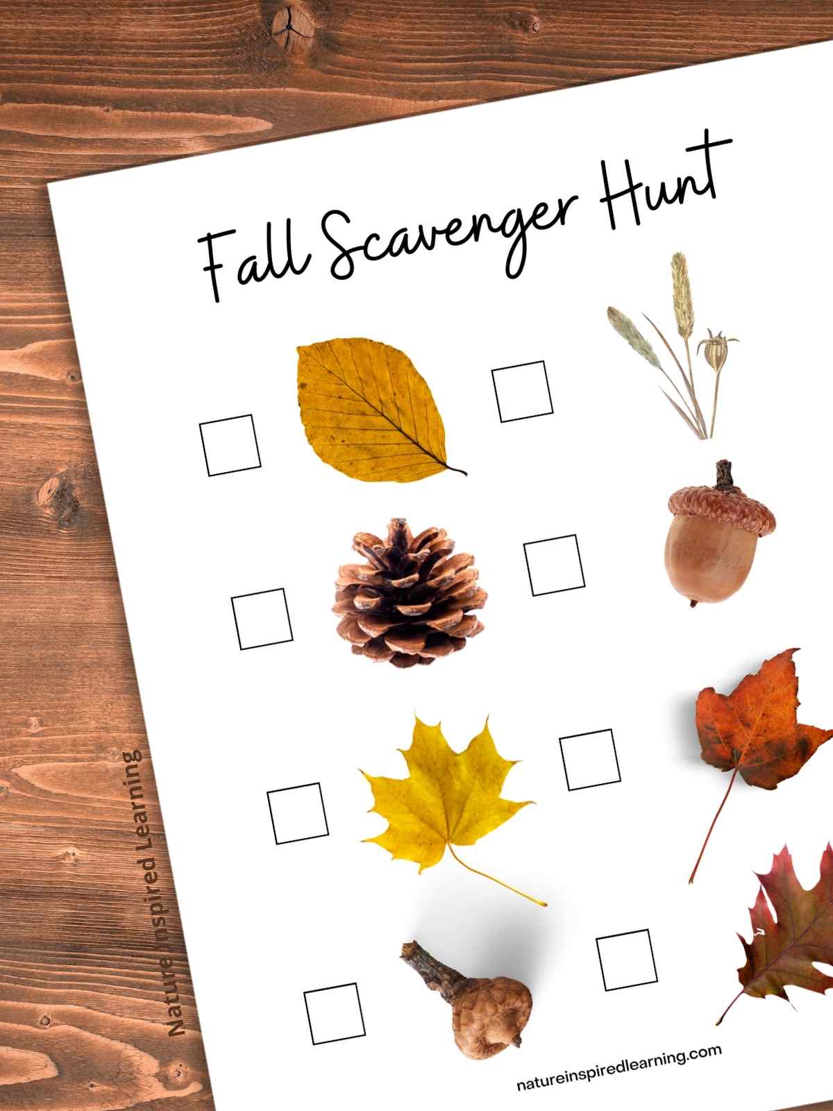 part of a fall scavenger hunt printable with real life images slanted on a wooden background